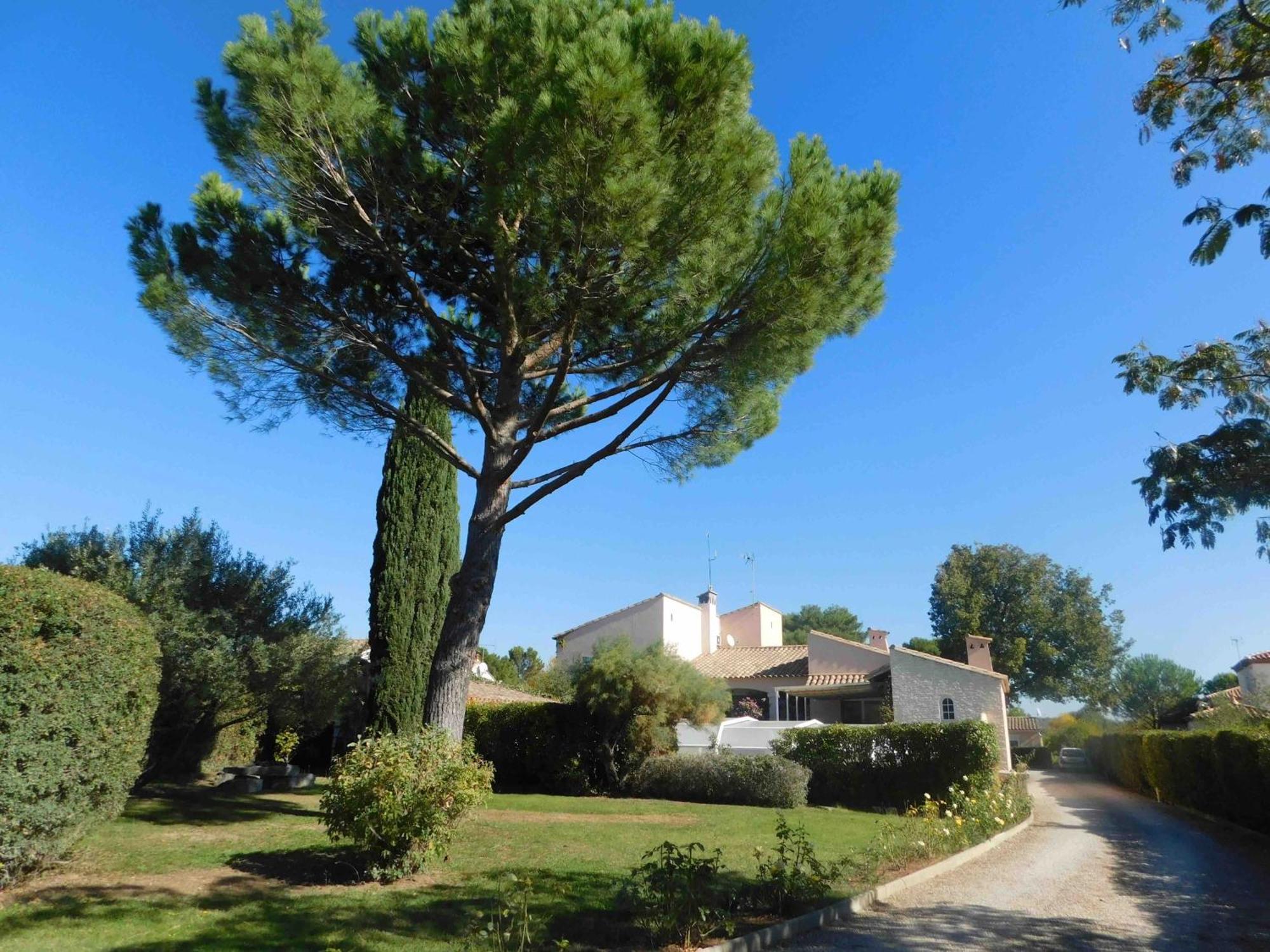 Les Bougainvillees De Camargue Villetelle Eksteriør bilde