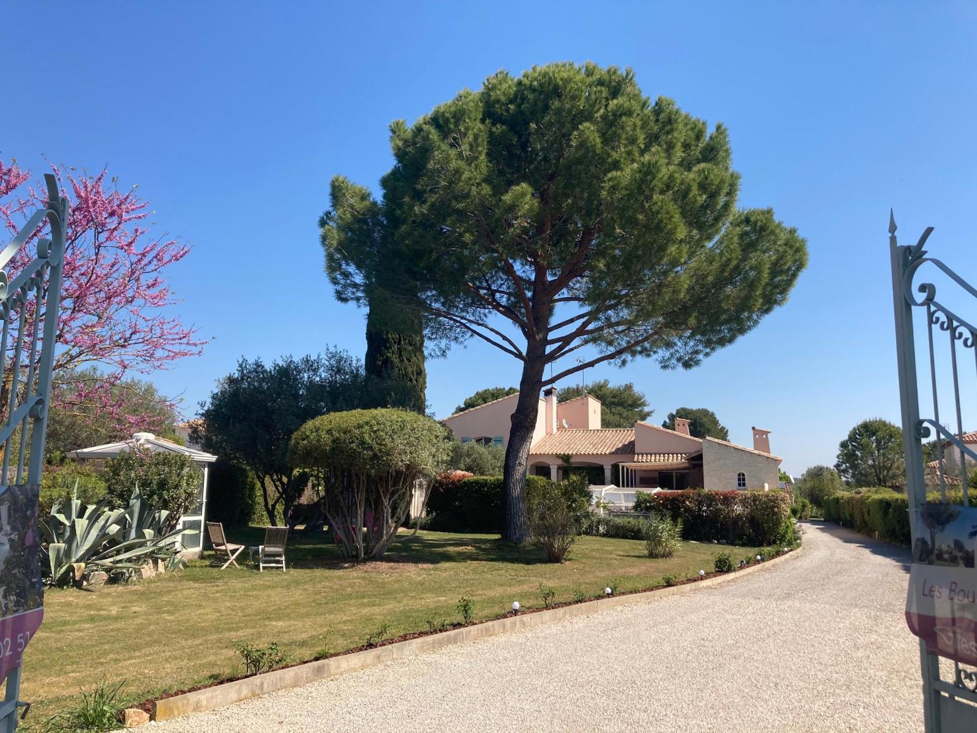 Les Bougainvillees De Camargue Villetelle Eksteriør bilde